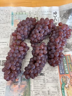 西日本補聴器